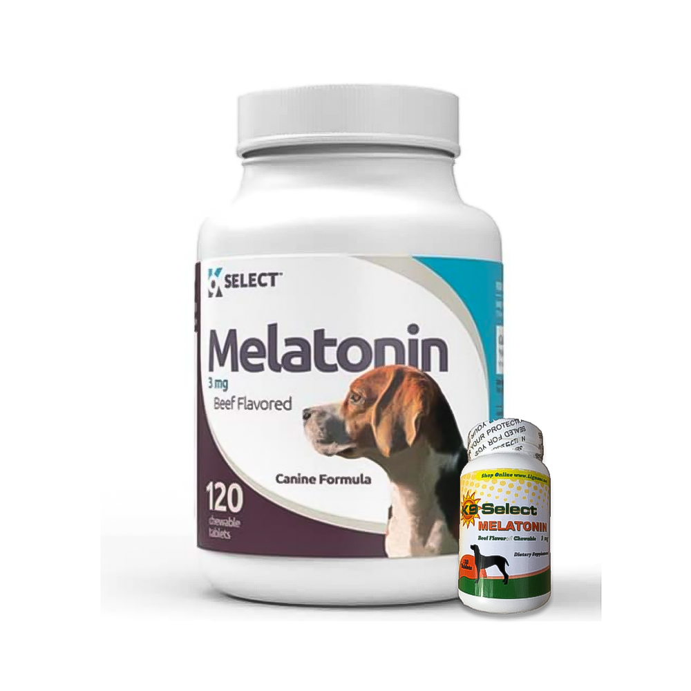 K9Select 3mg Melatonin for Dogs - 120 Beef Flavored Chewable Tablets