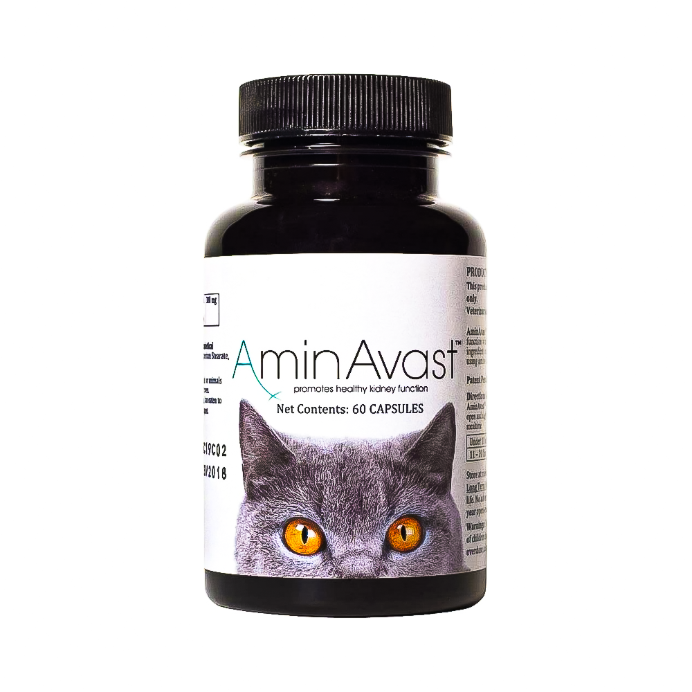 AminAvast Kidney Support Supplement for Cats and Dogs, 300mg 60 Sprinkle Capsules