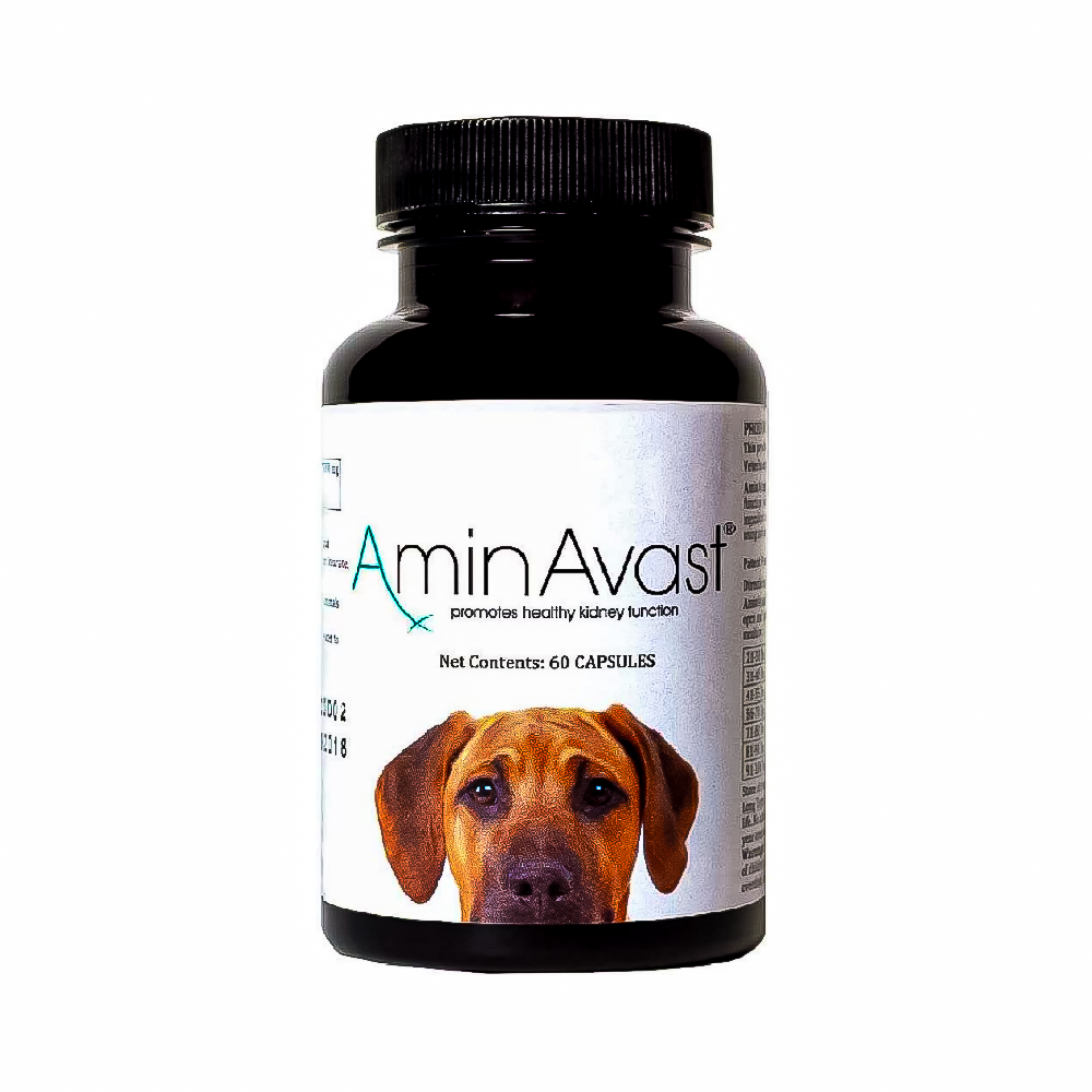 AminAvast Kidney Support for Dogs